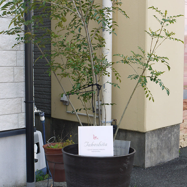 表札 タイル 風水で良いと言われる白 200角